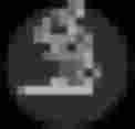 Labor